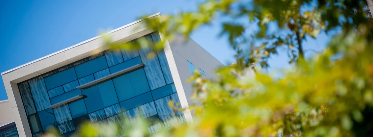 UC San Diego campus building framed by tree branches